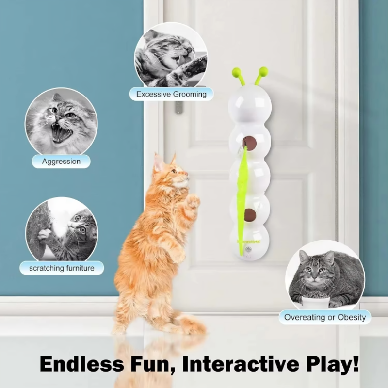 Jouet mural intelligent pour chat actif et curieux