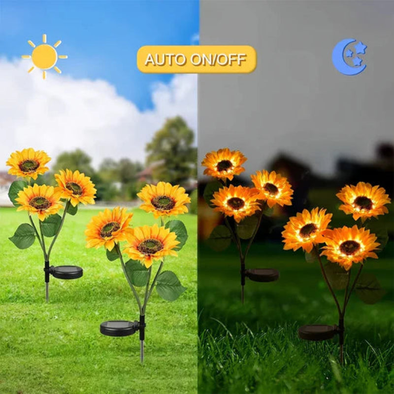 太陽のひまわりであなたの庭を明るくしましょう