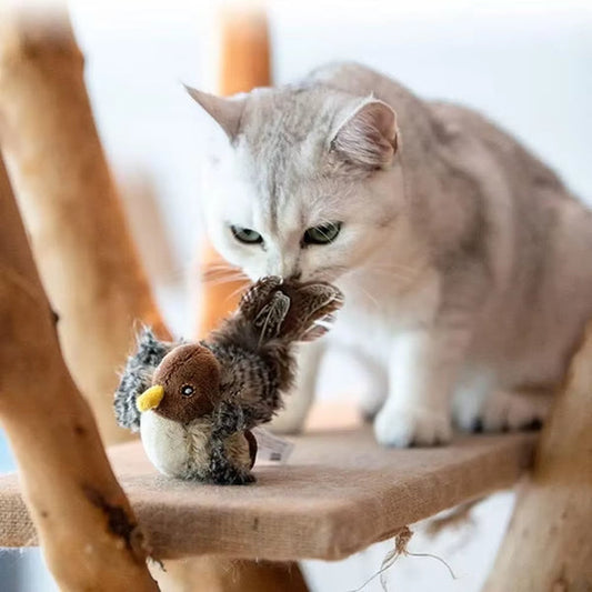 あなたの猫の自然な本能を刺激してください 