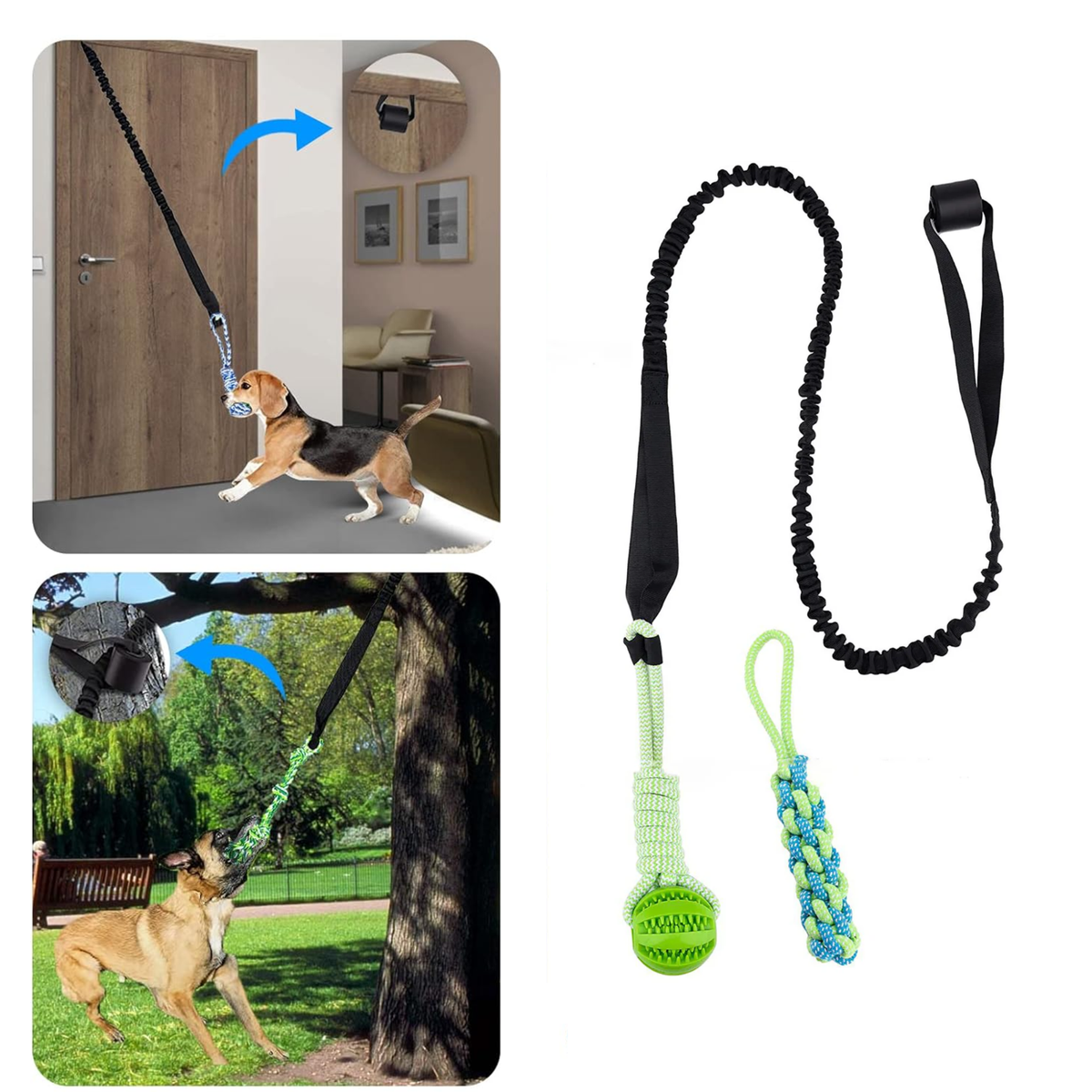 ChaseBall Jouet interactif roulant pour chien