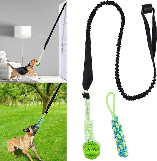 Jouet interactif pour chien : amusement garanti !