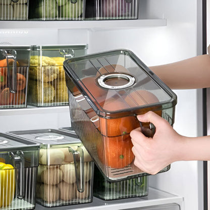 Keep your food fresh longer, easily and healthily 