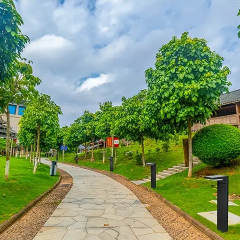 Illuminez votre jardin sans électricité ni effort